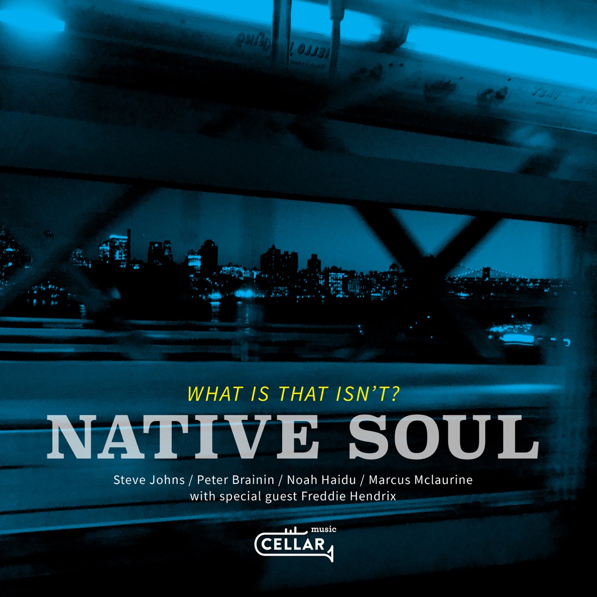 What Is That Isn't? by Native Soul album cover