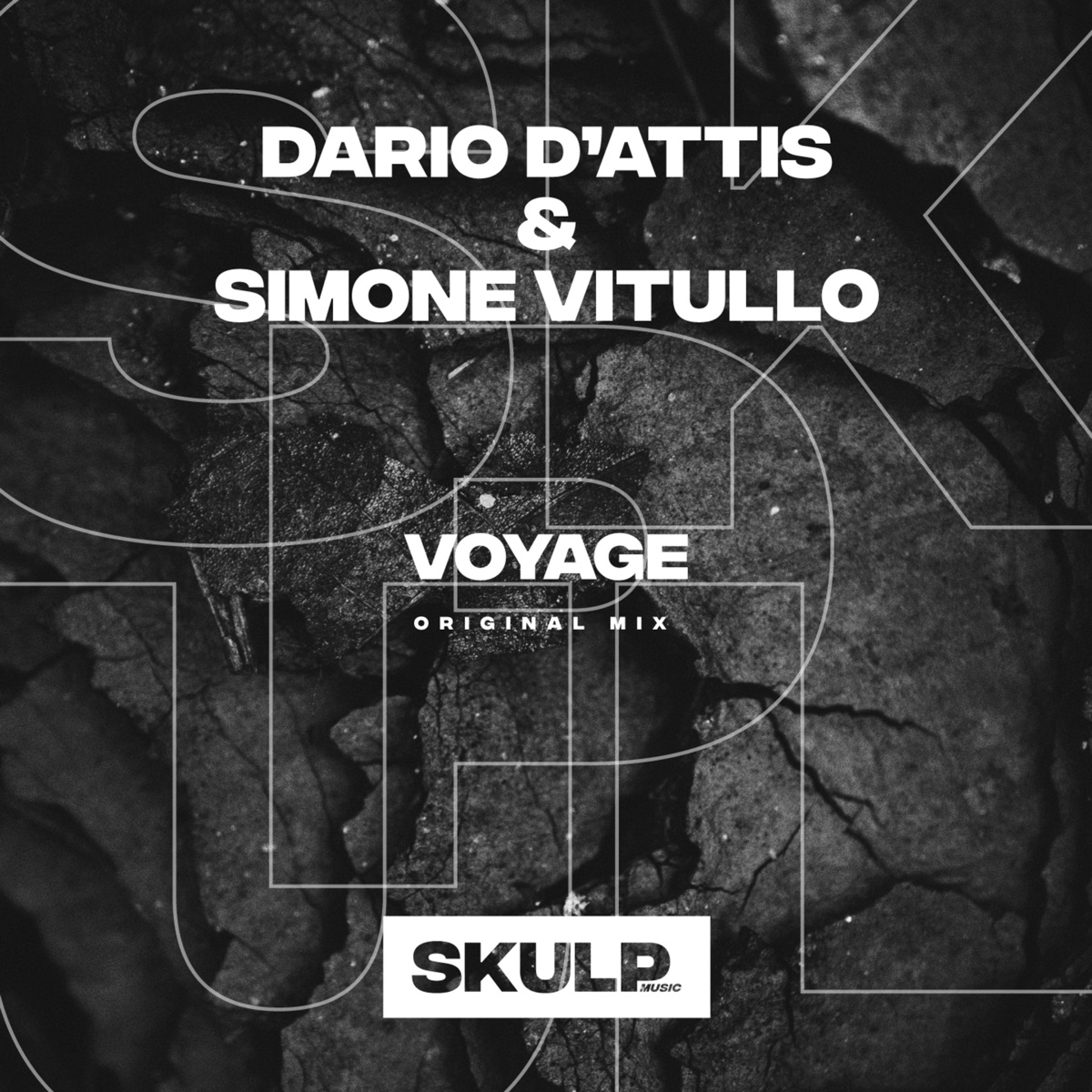 Voyage - Single by Dario D'Attis & Simone Vitullo album cover