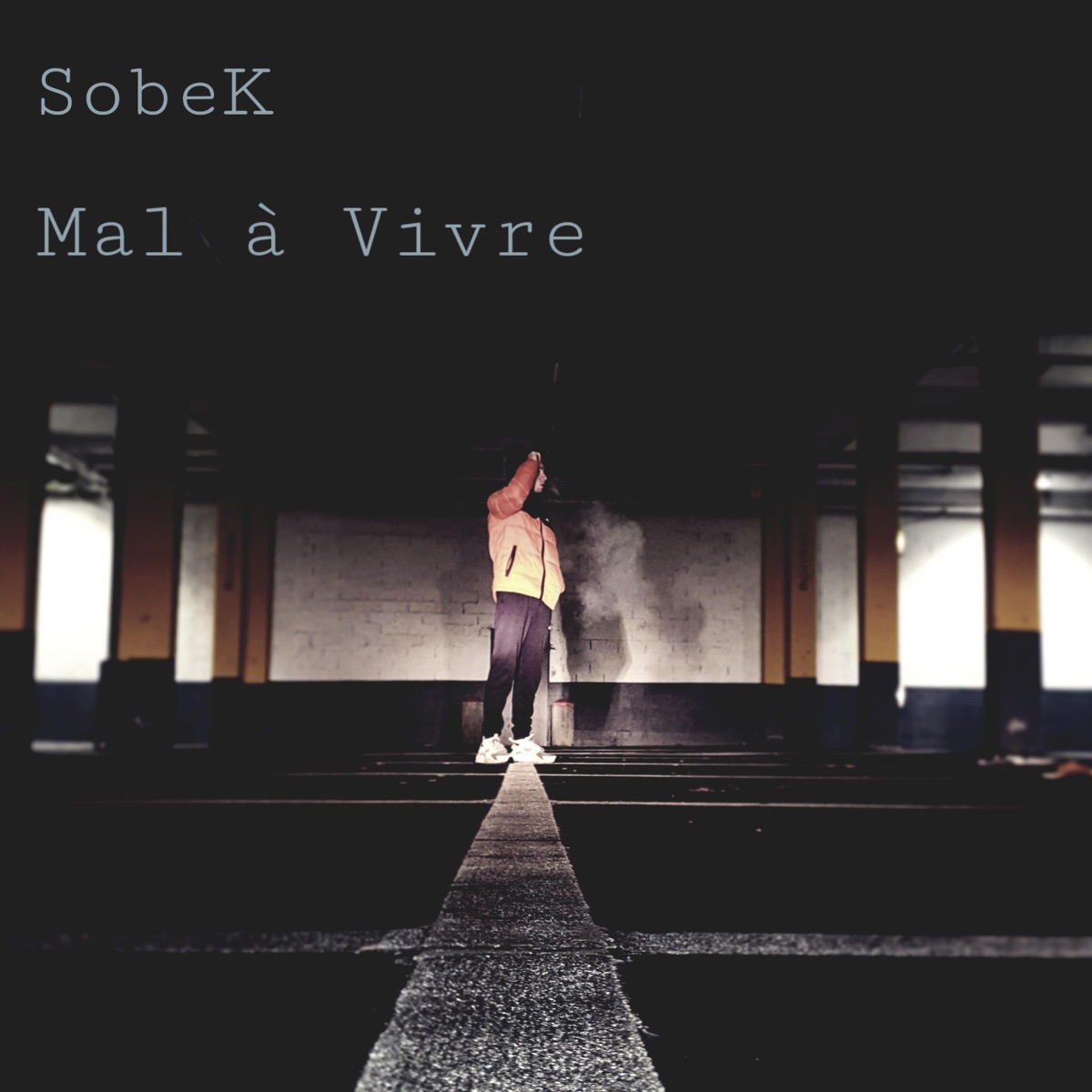 Mal à Vivre - Single by Sobek album cover