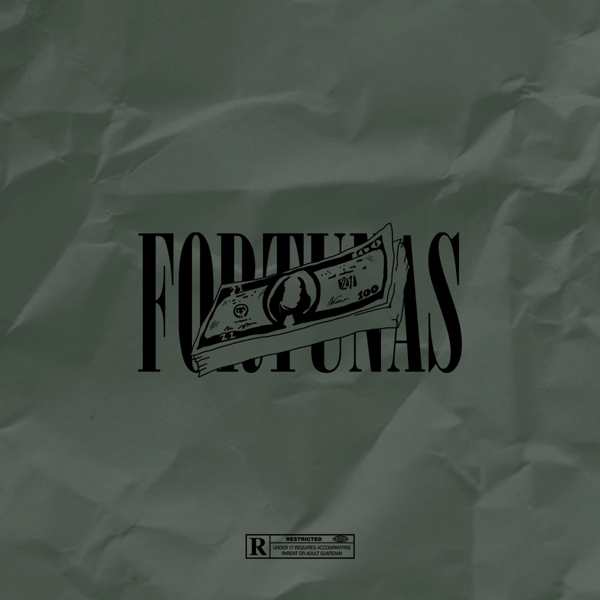 Fortunas - Single by CH9 Beatz & 2D album cover