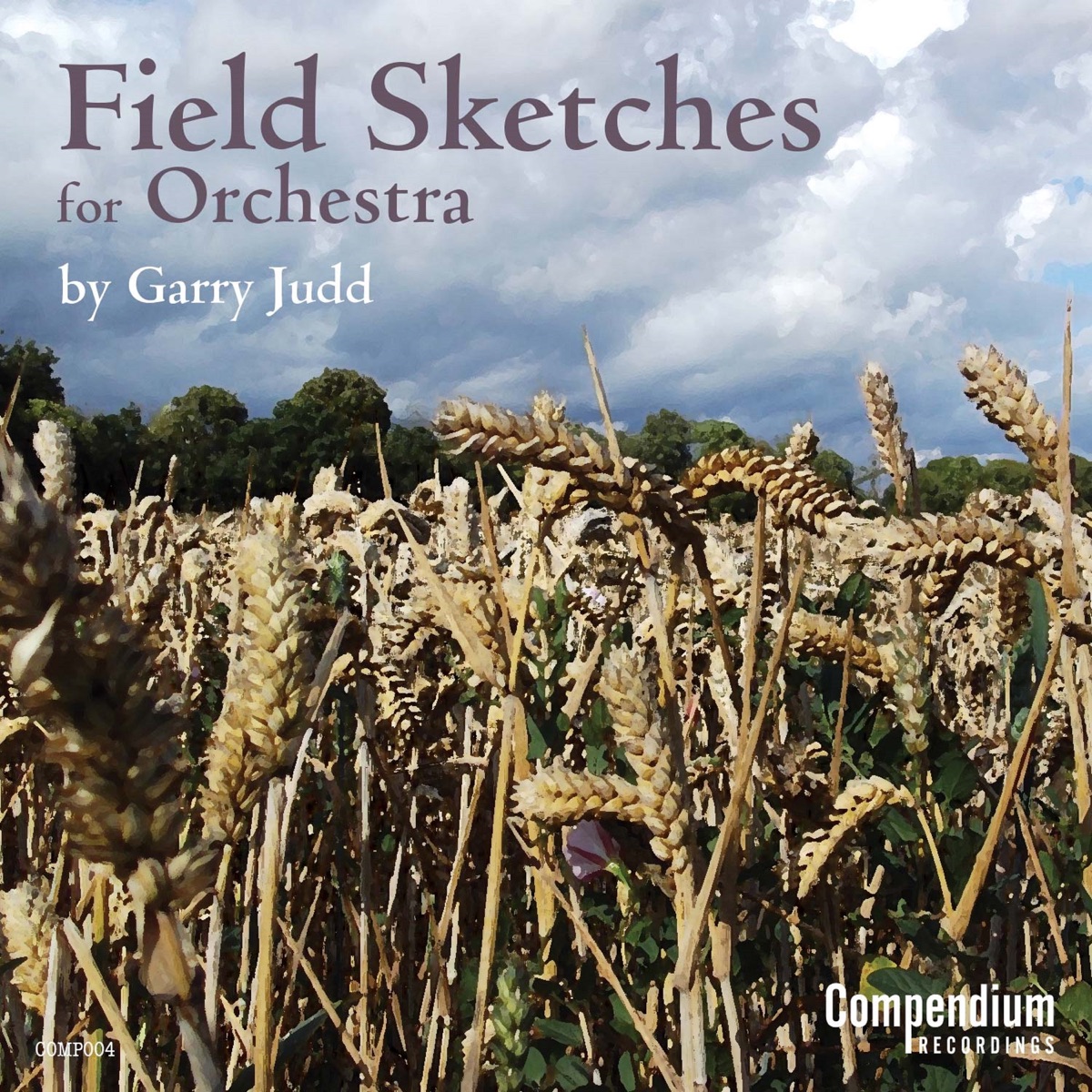 Field Sketches for Orchestra - EP by Garry DW Judd album cover