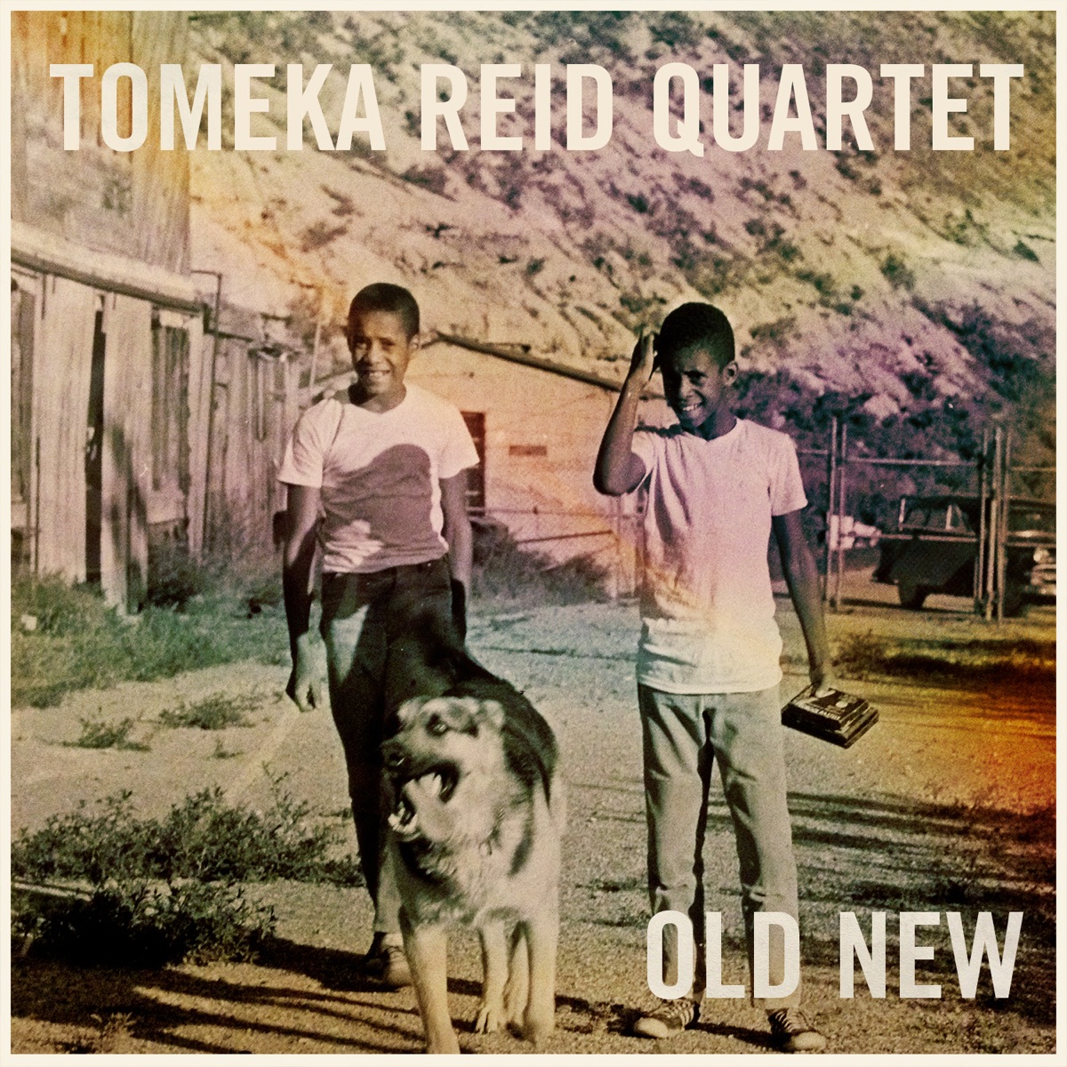 Old New (feat. Tomeka Reid, Mary Halvorson, Tomas Fujiwara & Jason Roebke) by Tomeka Reid Quartet album cover