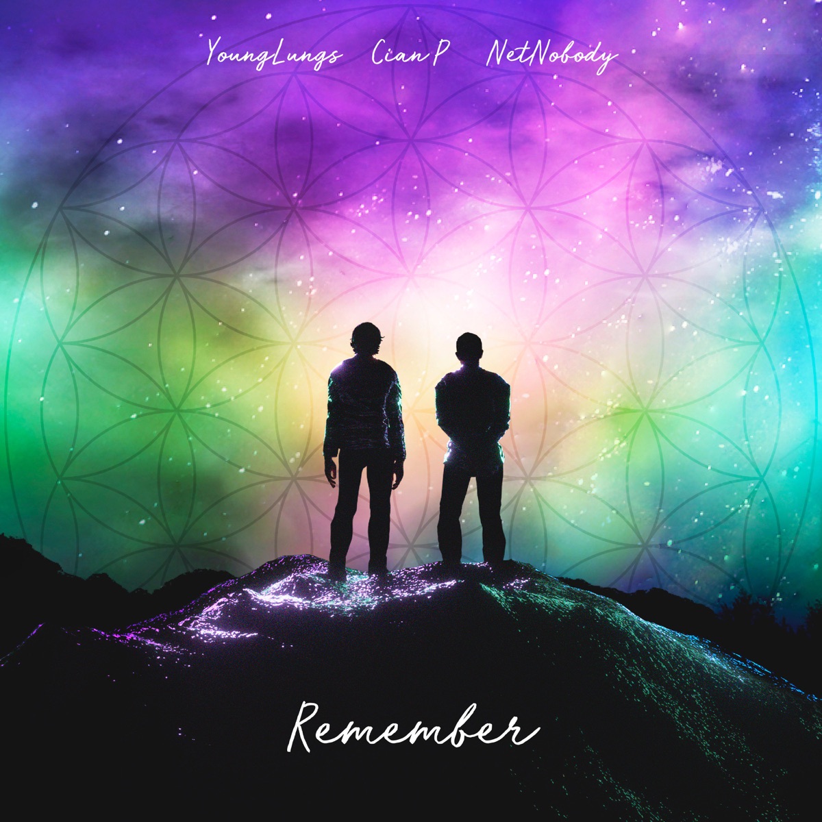 Remember - Single by NetNobody & Young Lungs album cover