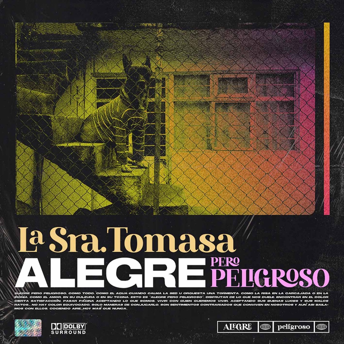Alegre Pero Peligroso by La Sra. Tomasa album cover