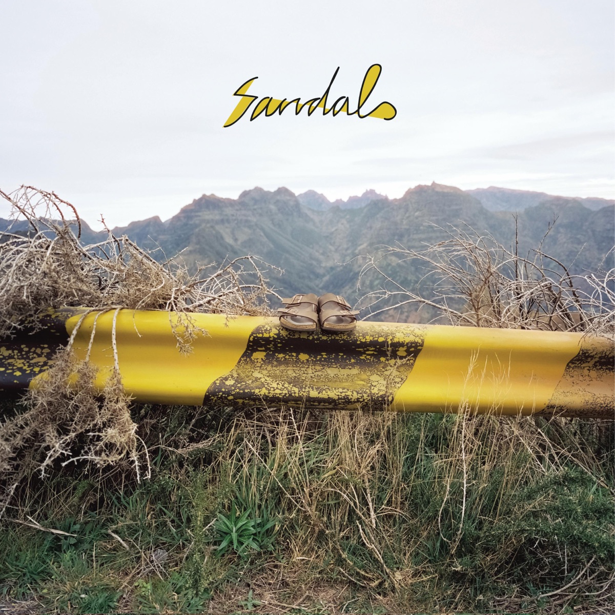 Sandals by Flitz&Suppe, DDob & Mr. Käfer album cover