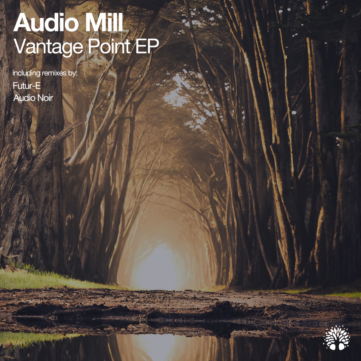 Vantage Point - EP by Audio Mill album cover