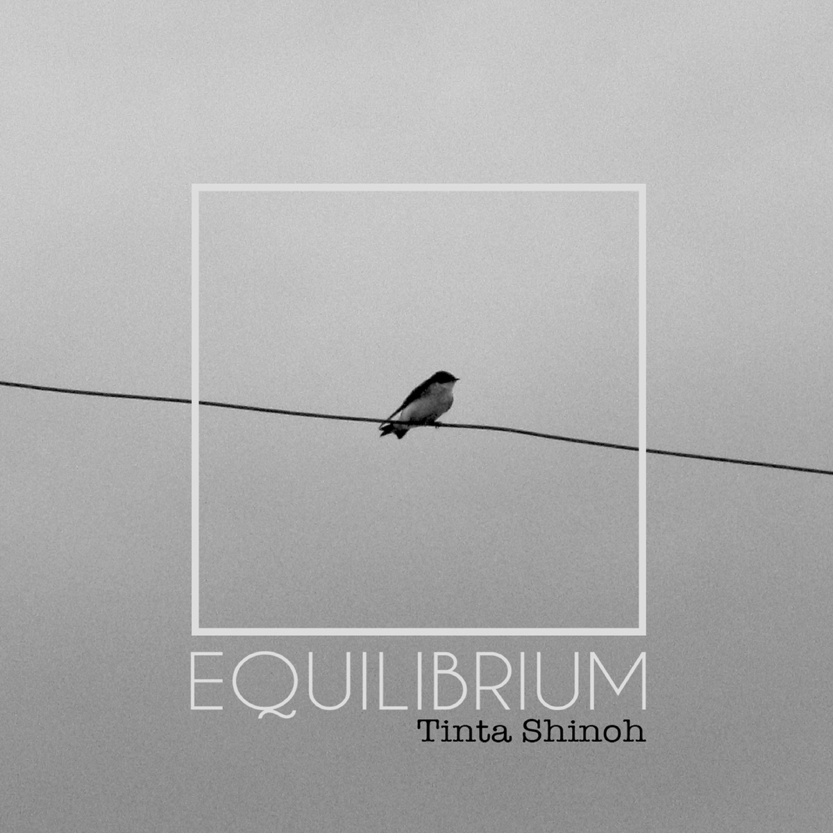 Equilibrium by Tinta Shinoh album cover