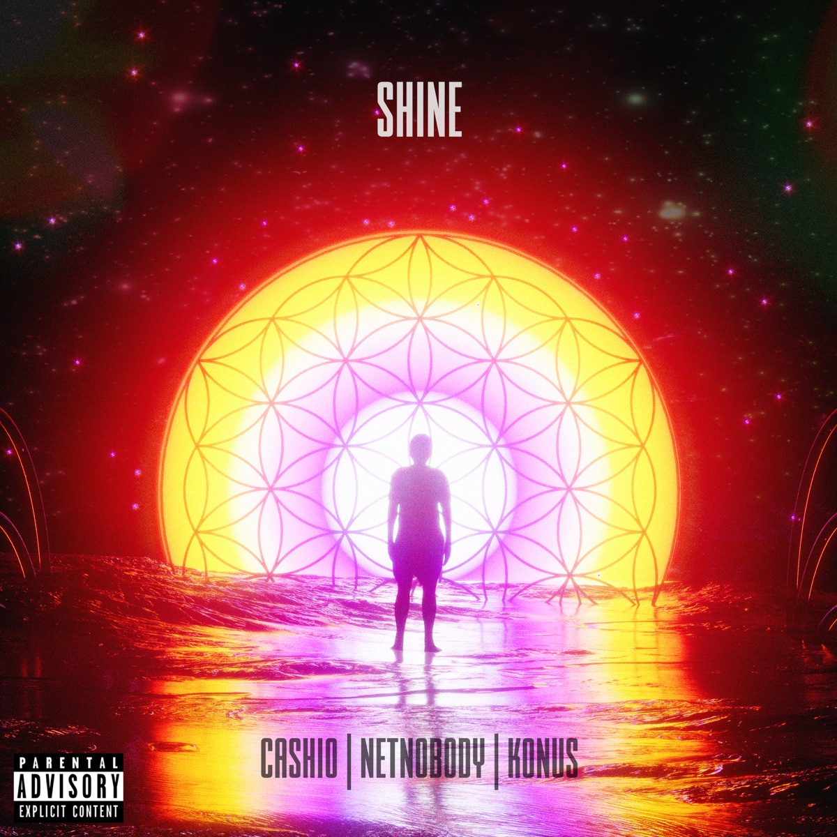 Shine - Single by NetNobody album cover