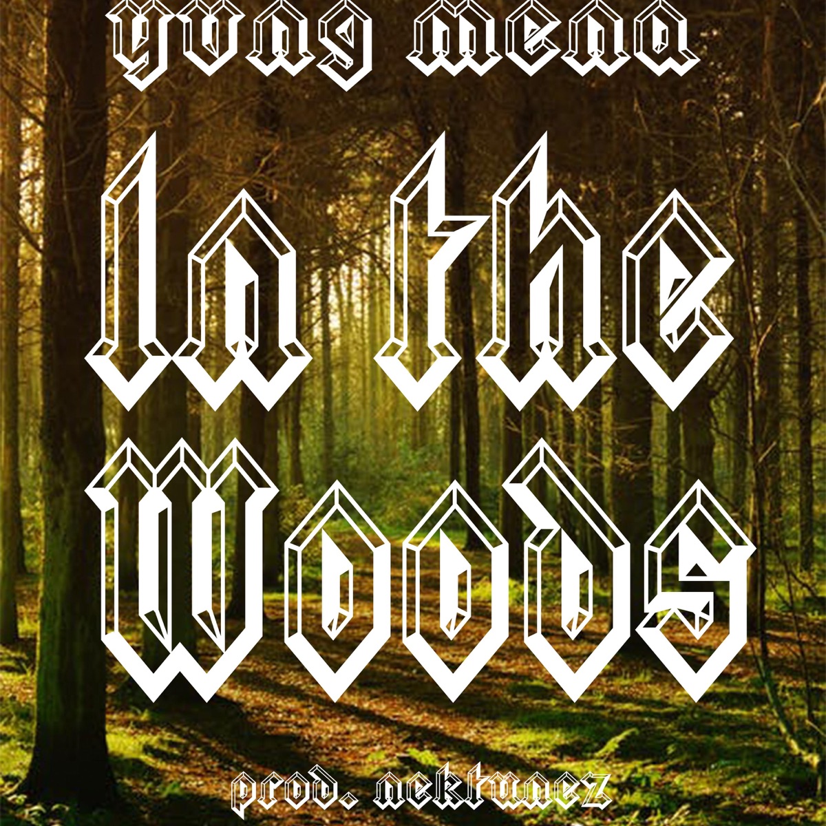 In the Woods - Single by BushBoyMena album cover
