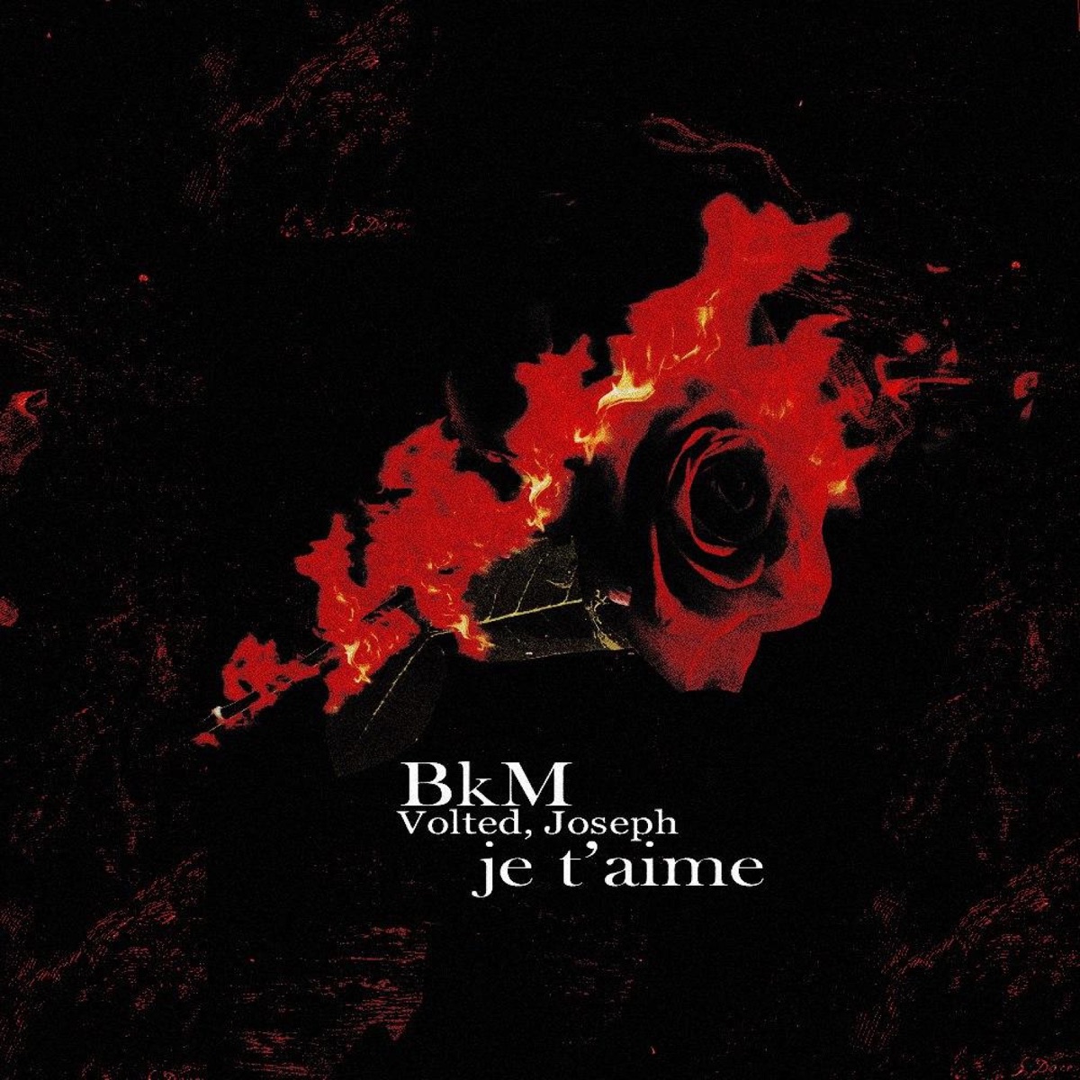 Je t'aime (feat. Volted & Joseph) - Single by Bkm album cover