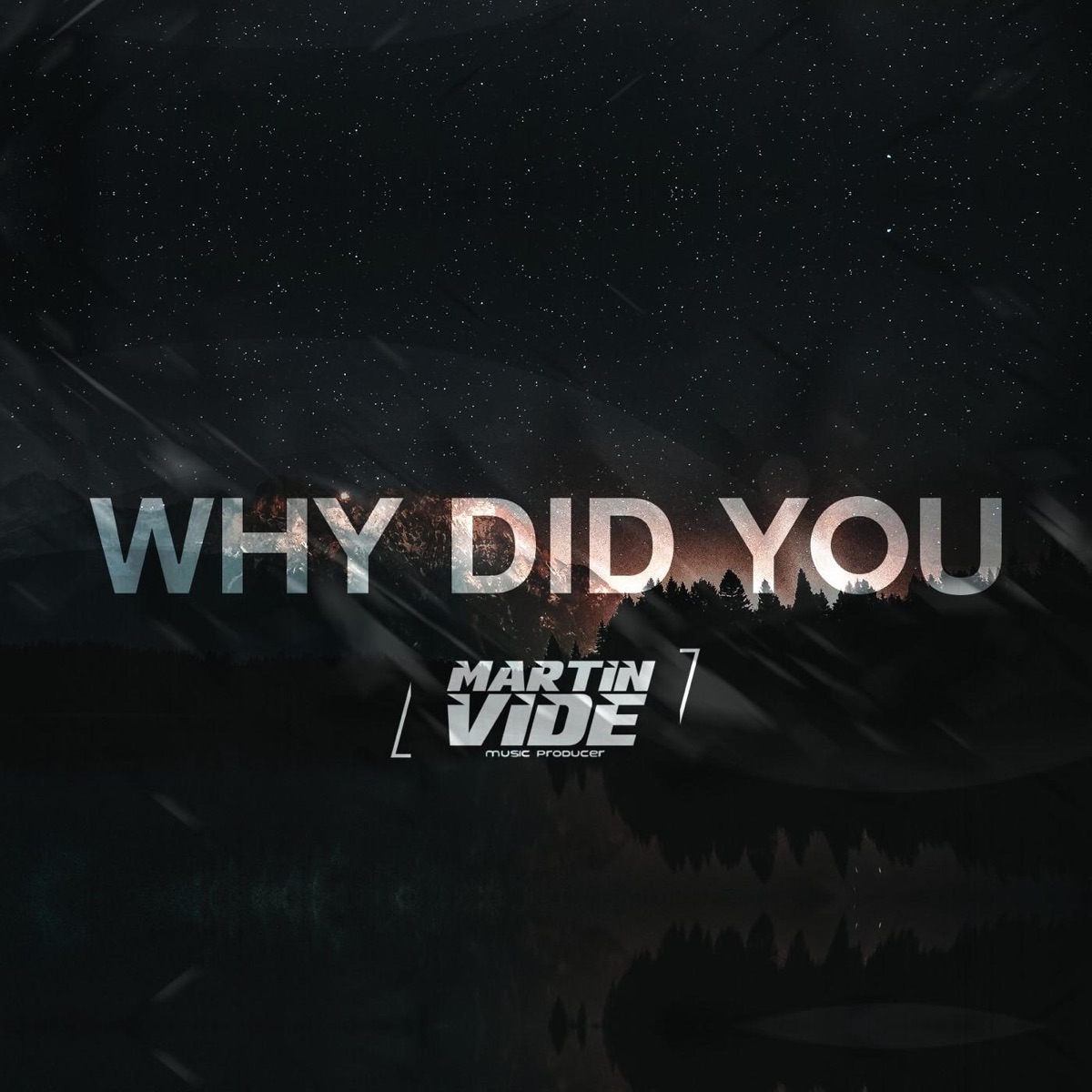 Why Did You - Single by Martin Vide album cover