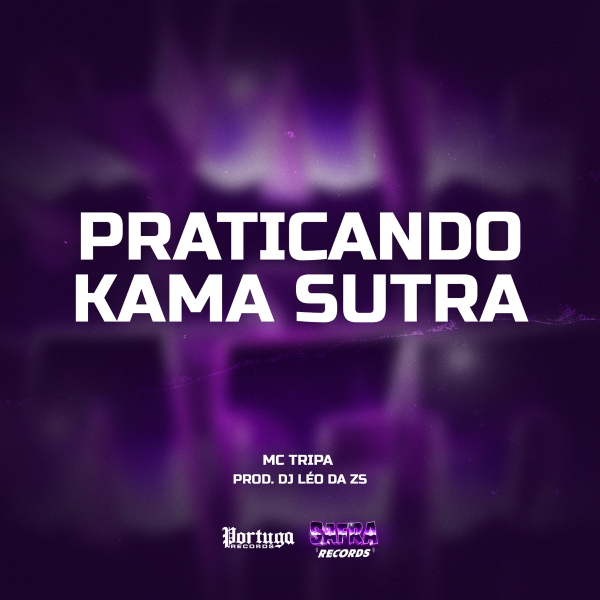 Praticando Kama Sutra - Single by Mc Tripa & DJ LEO DA ZS album cover