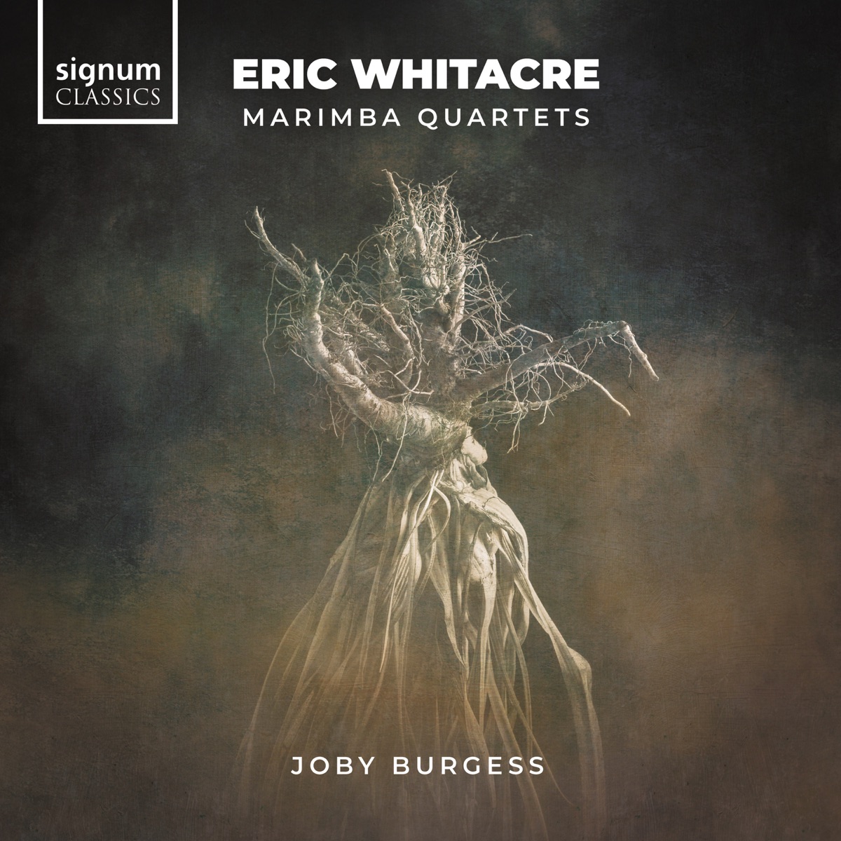 Eric Whitacre: Marimba Quartets - EP by Joby Burgess album cover
