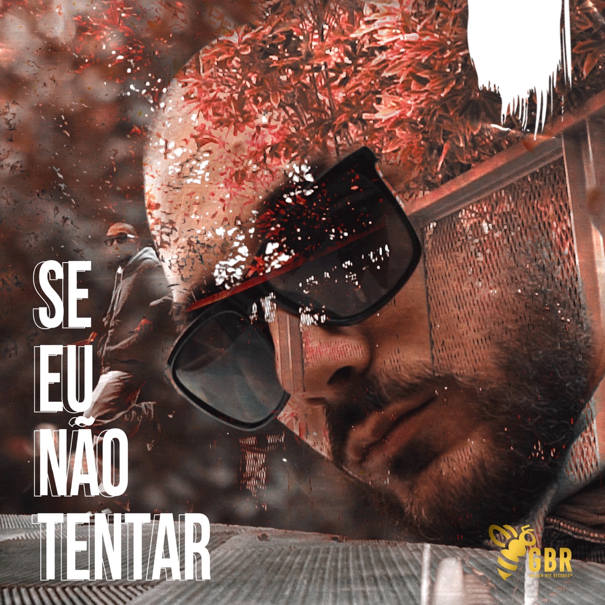 Se Eu Não Tentar - Single by Golden Bee album cover