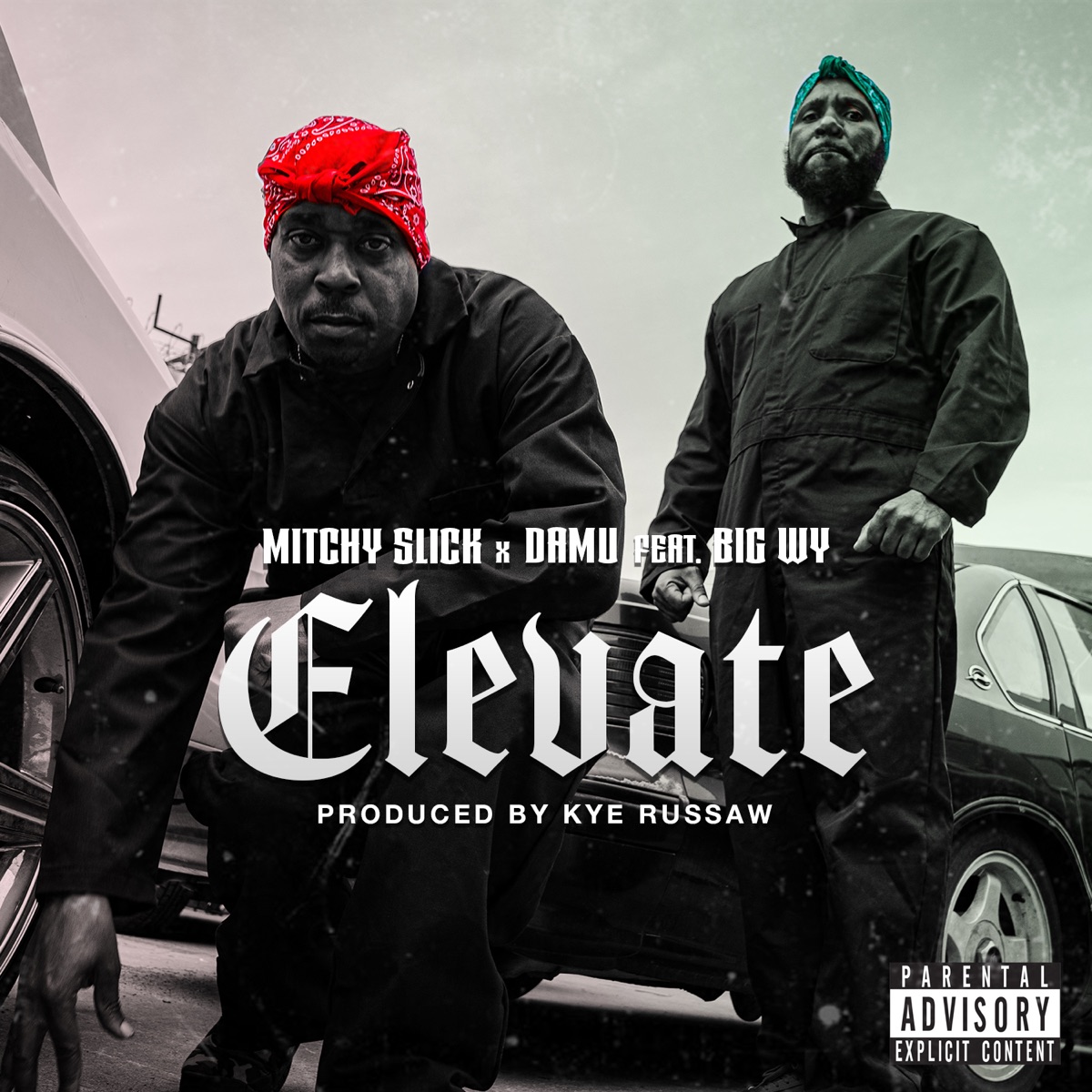 Elevate (feat. Big WY) - Single by Mitchy Slick & Damu album cover