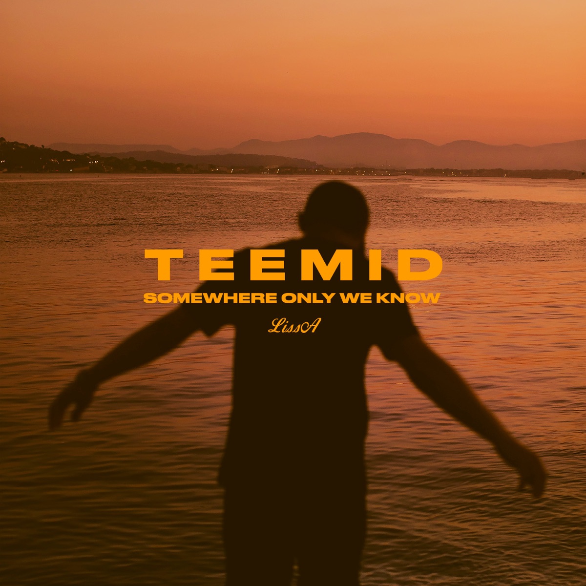Somewhere Only We Know - Single by Teemid & LissA album cover
