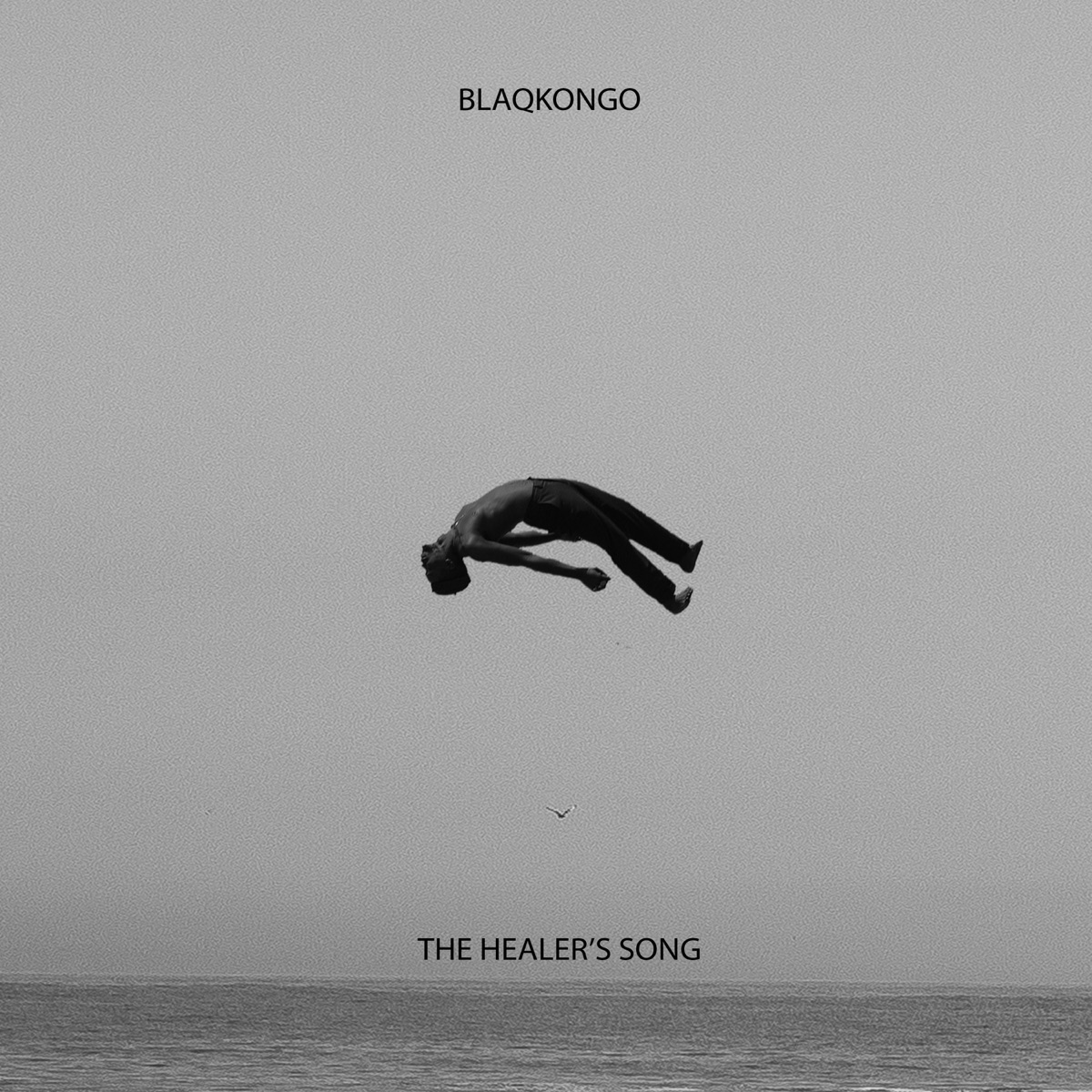 The Healer's Song - Single by Blaqkongo album cover