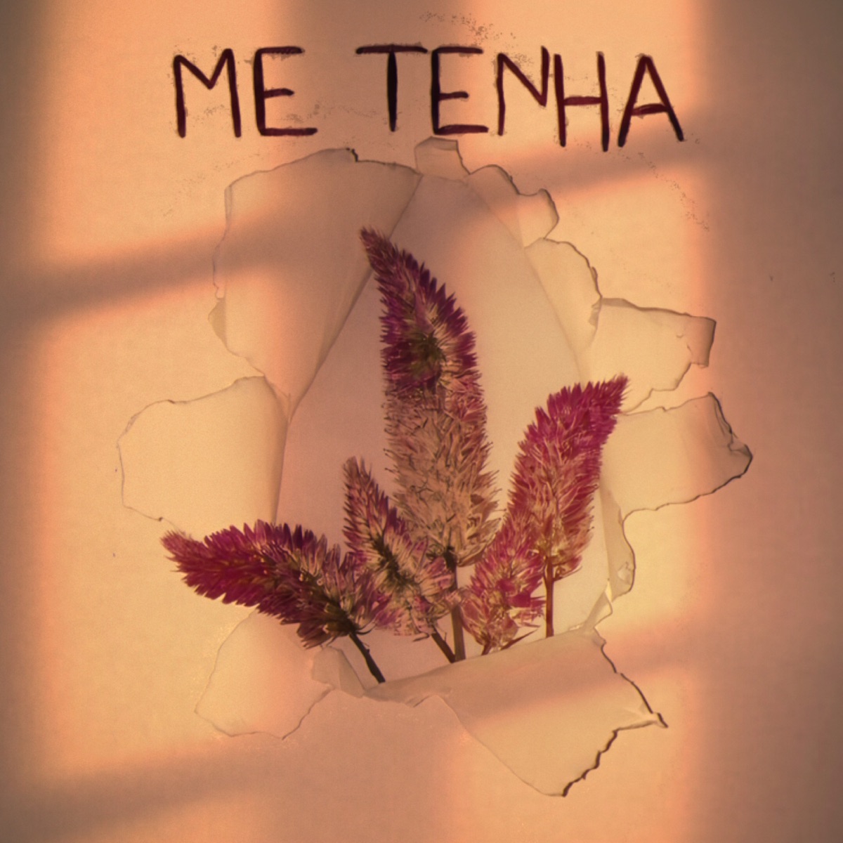 Me Tenha - Single by Tupi album cover