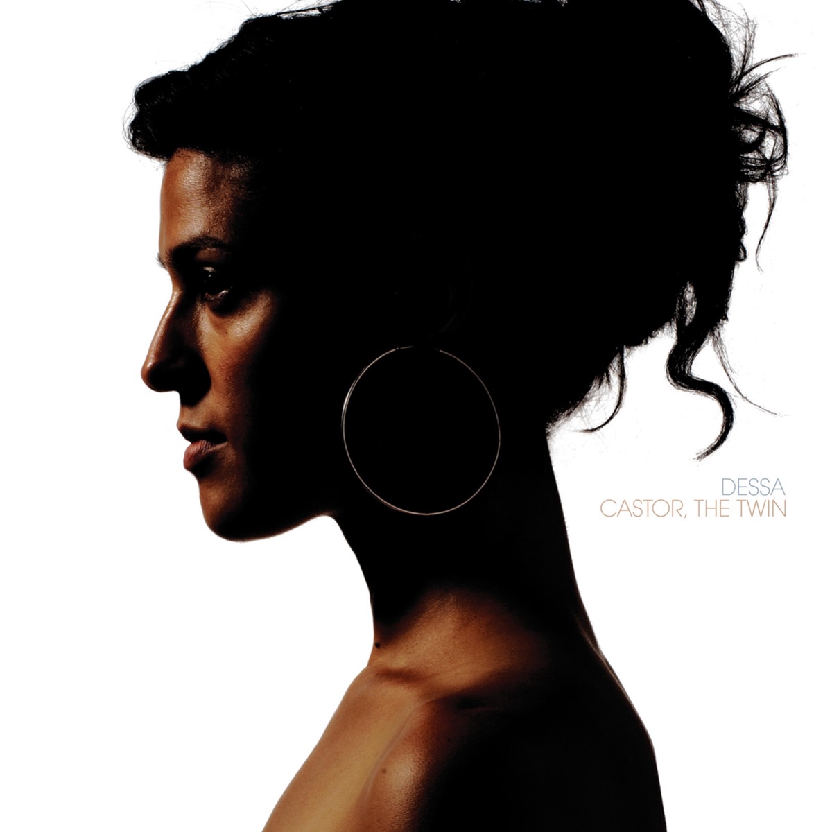 Castor, The Twin by Dessa album cover