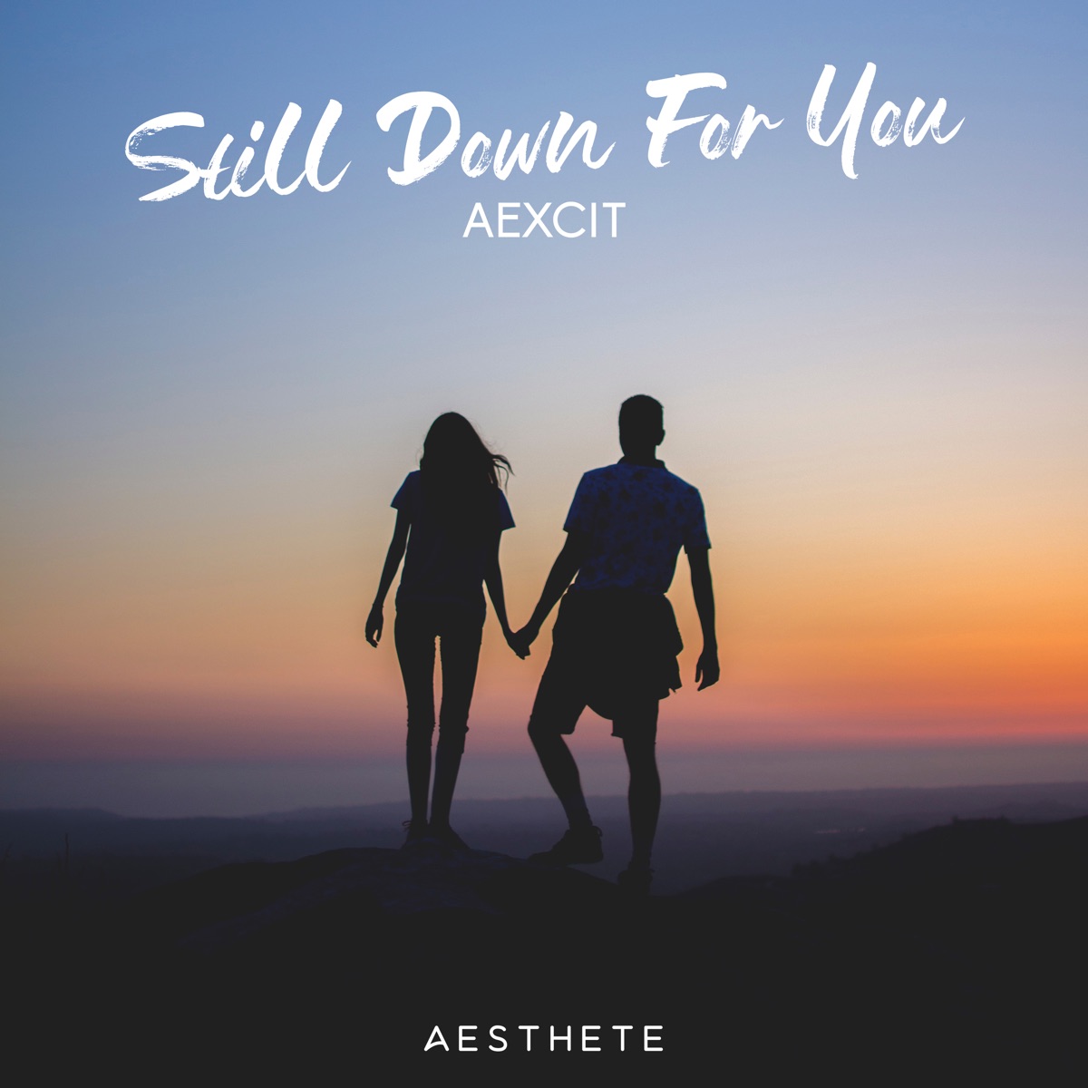 Still Down for You - Single by Aexcit album cover
