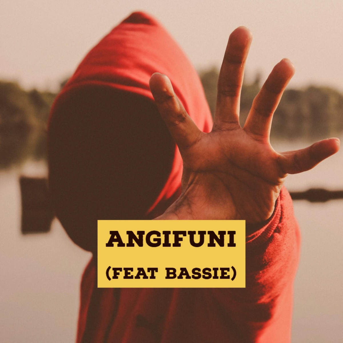 Angifuni (feat. Bassie) - Single by Onkenick album cover
