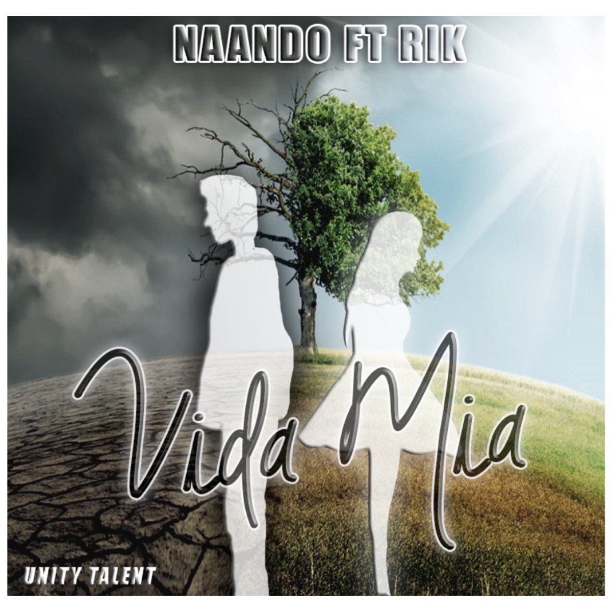 Vida mia (feat. Rik) - Single by Naando album cover