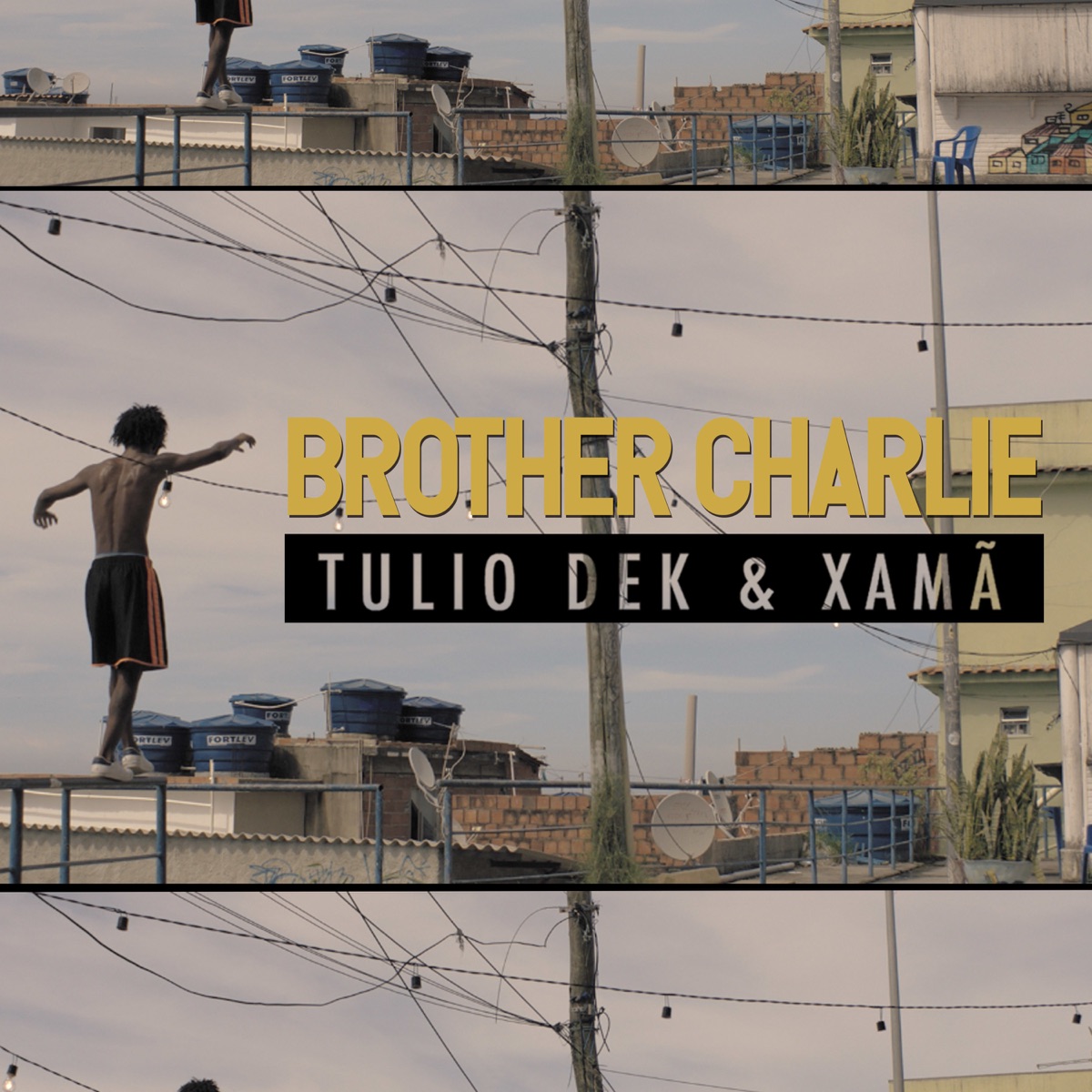 Brother Charlie - Single by Túlio Dek & Xamã album cover