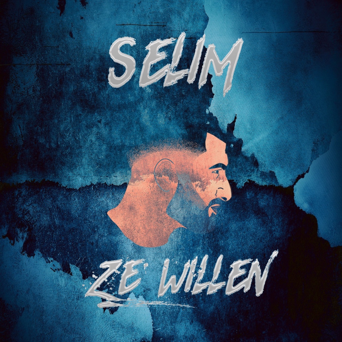 Ze Willen - Single by Selim album cover