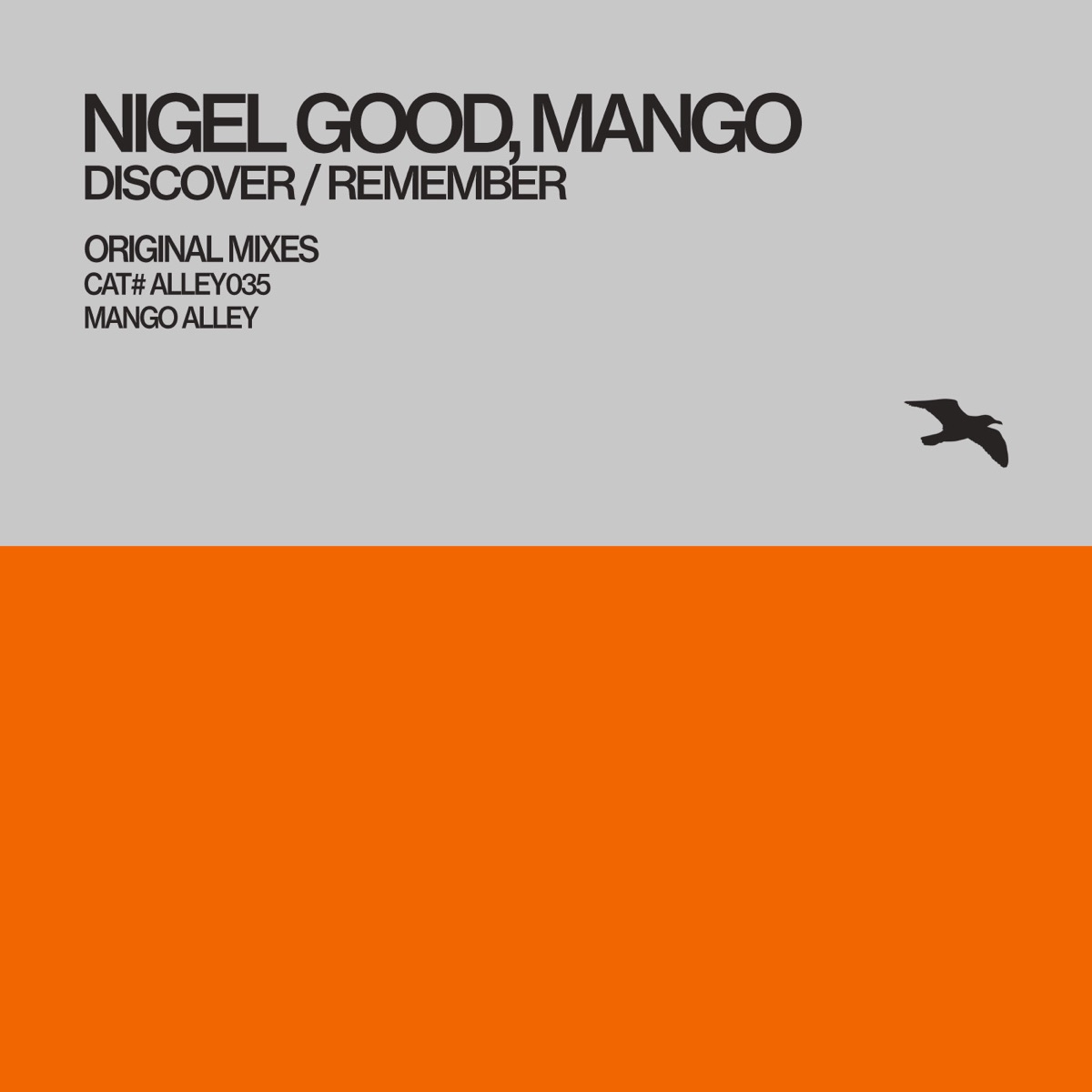 Discover / Remember - Single by Nigel Good & Mango album cover