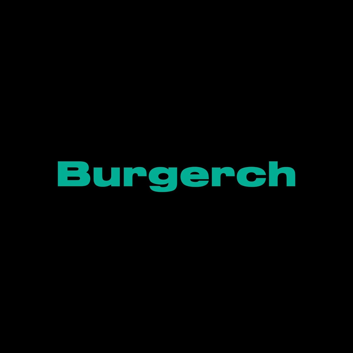 We Have No Name - Single by Burgerch album cover