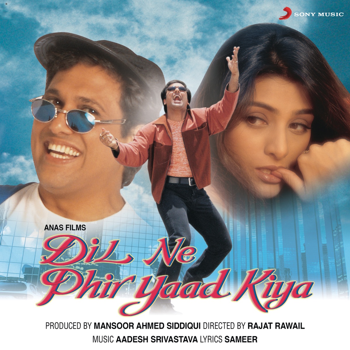 Dil Ne Phir Yaad Kiya (Original Motion Picture Soundtrack) by Aadesh Shrivastava album cover