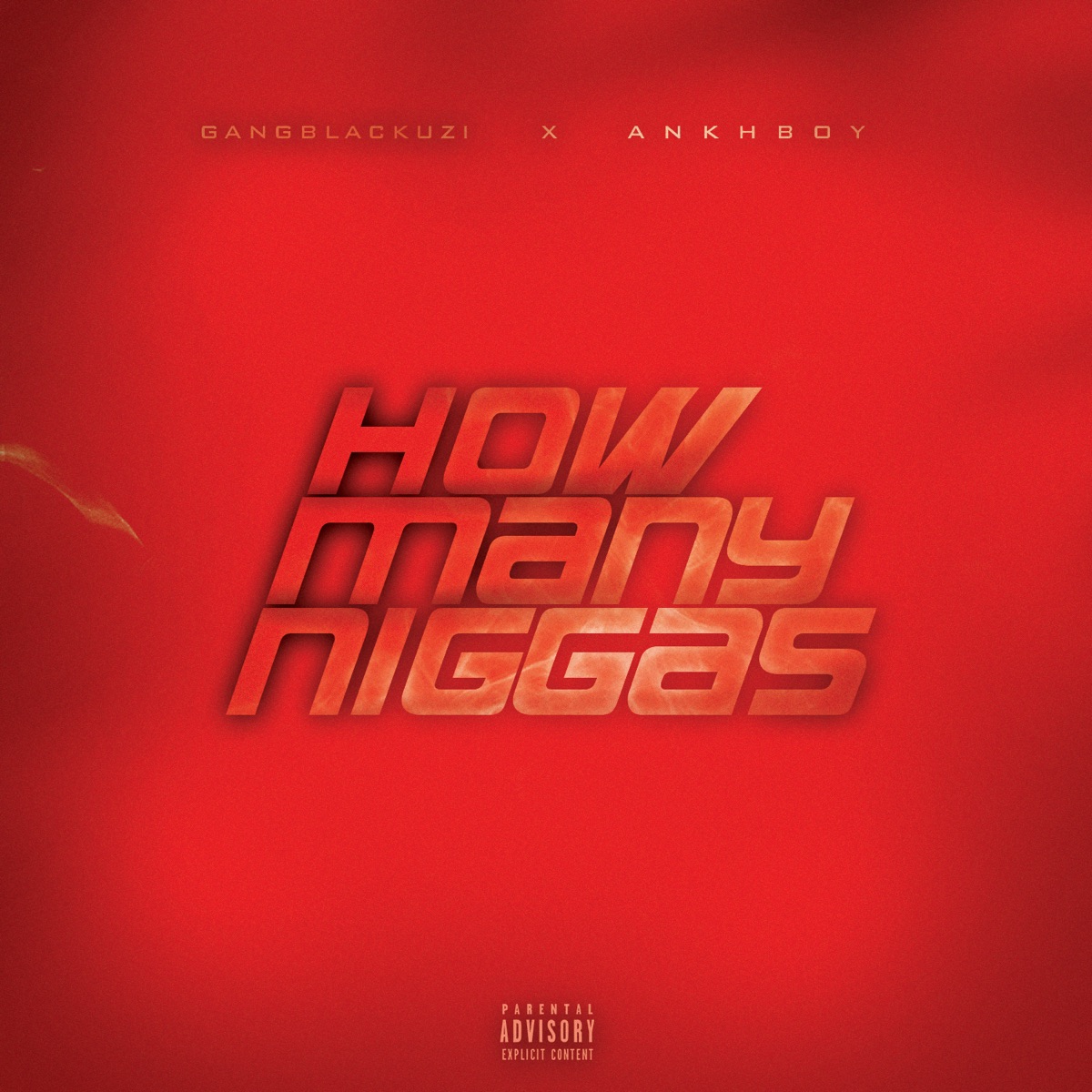 How Many N****s (feat. Ankhboy) - Single by GangBlackUzi album cover