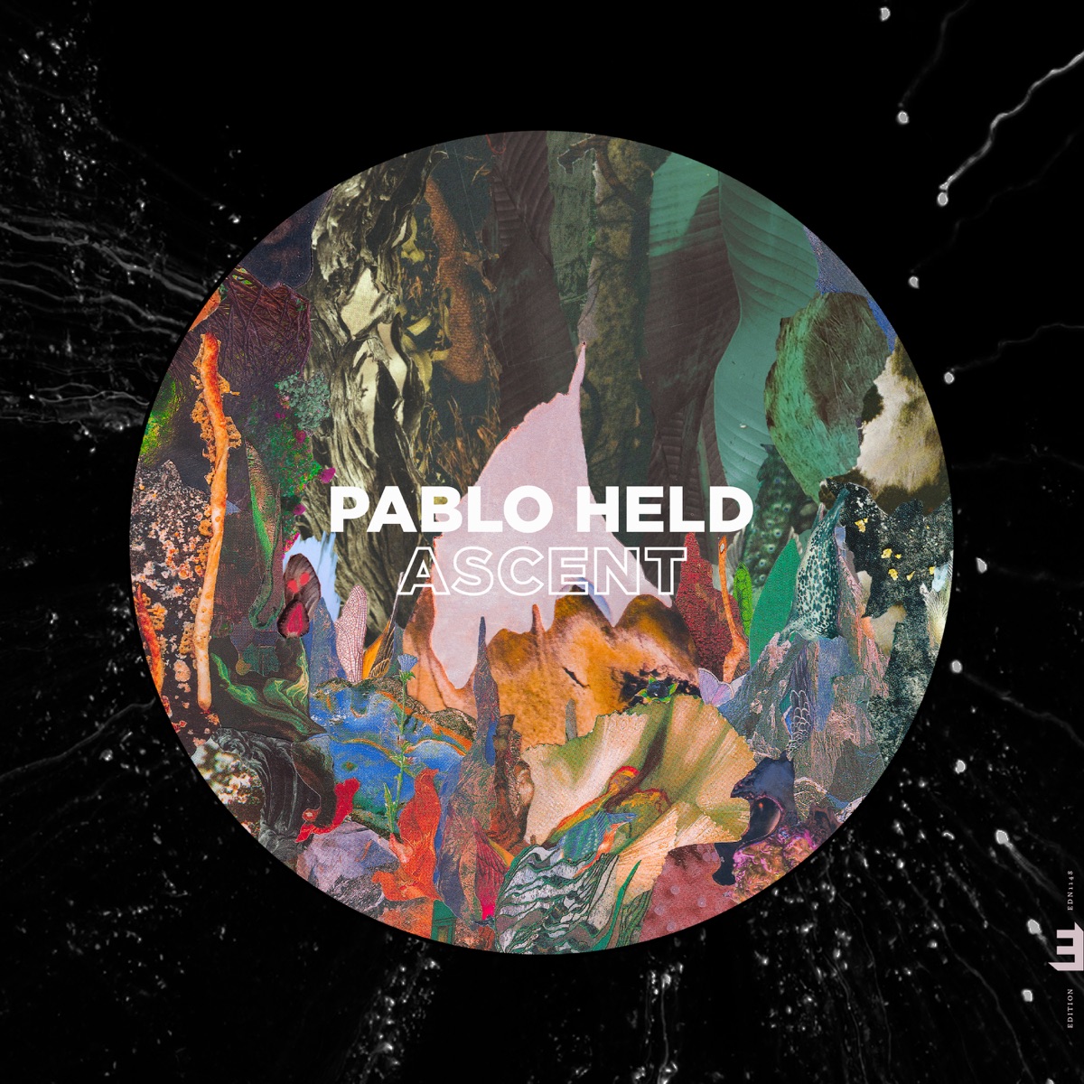 Ascent (feat. Nelson Veras) by Pablo Held album cover