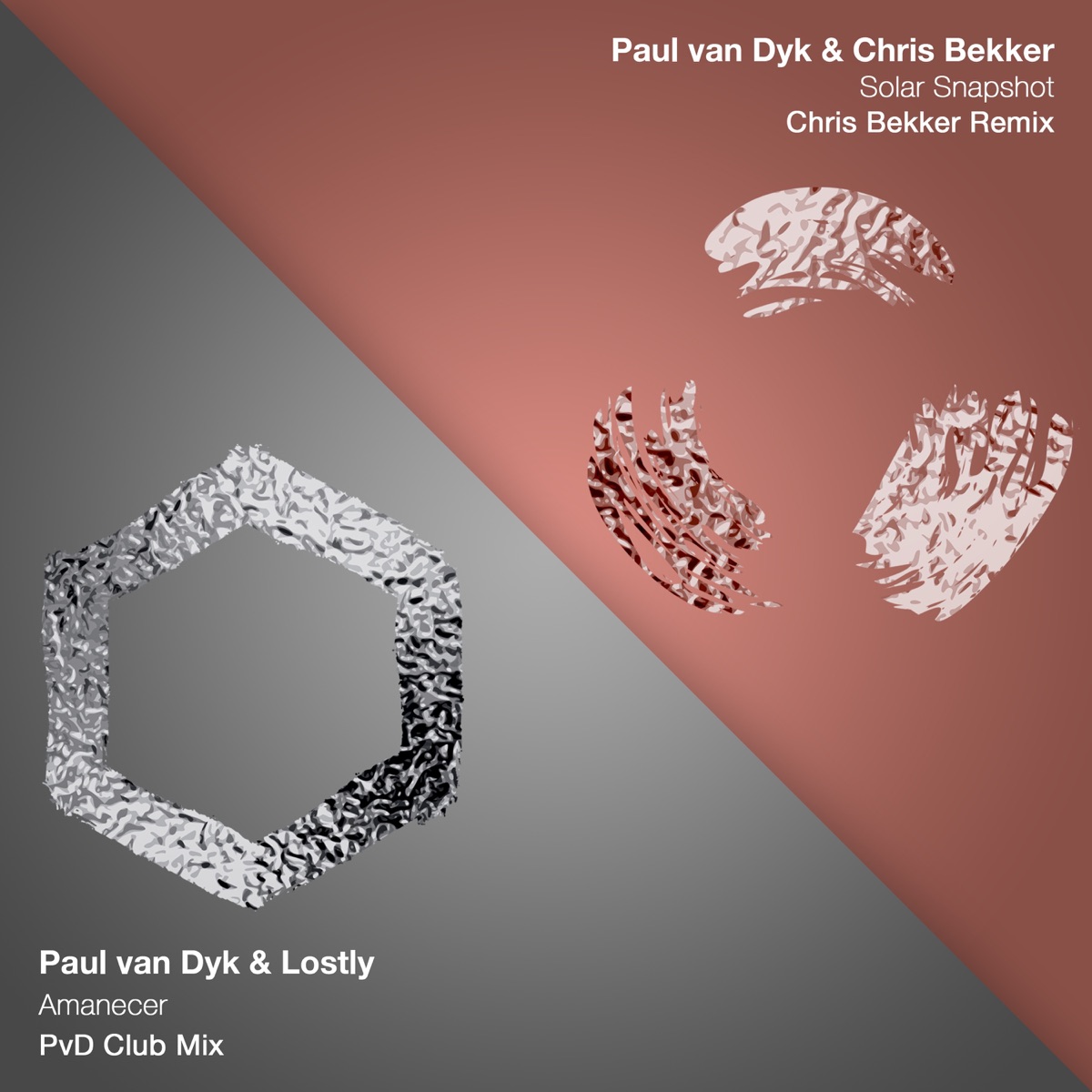Amanecer & Solar Snapshot - Single by Paul van Dyk, Lostly & Chris Bekker album cover