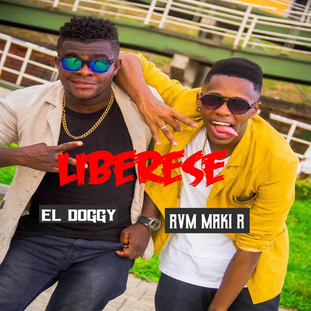 Liberese - Single by Rvm Maki R & El Doggy album cover