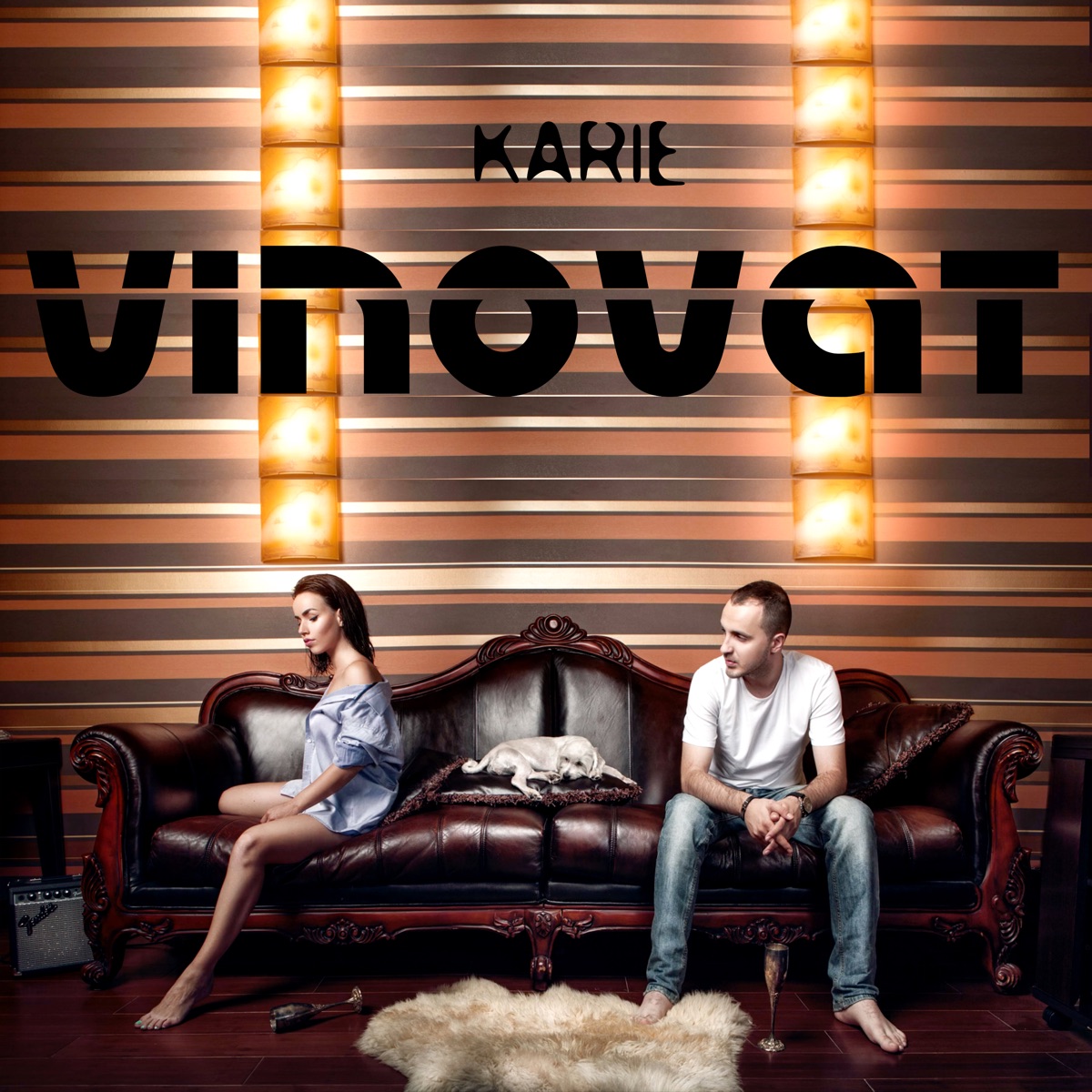 Vinovat - Single by Karie album cover