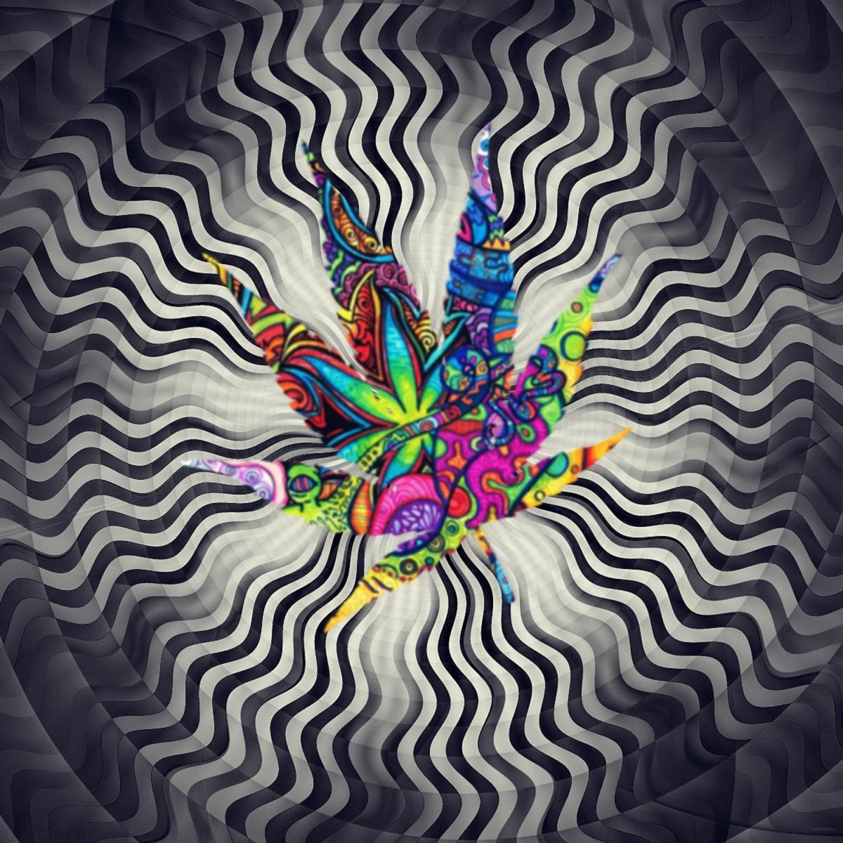So High 2016 - Single by Tragic album cover