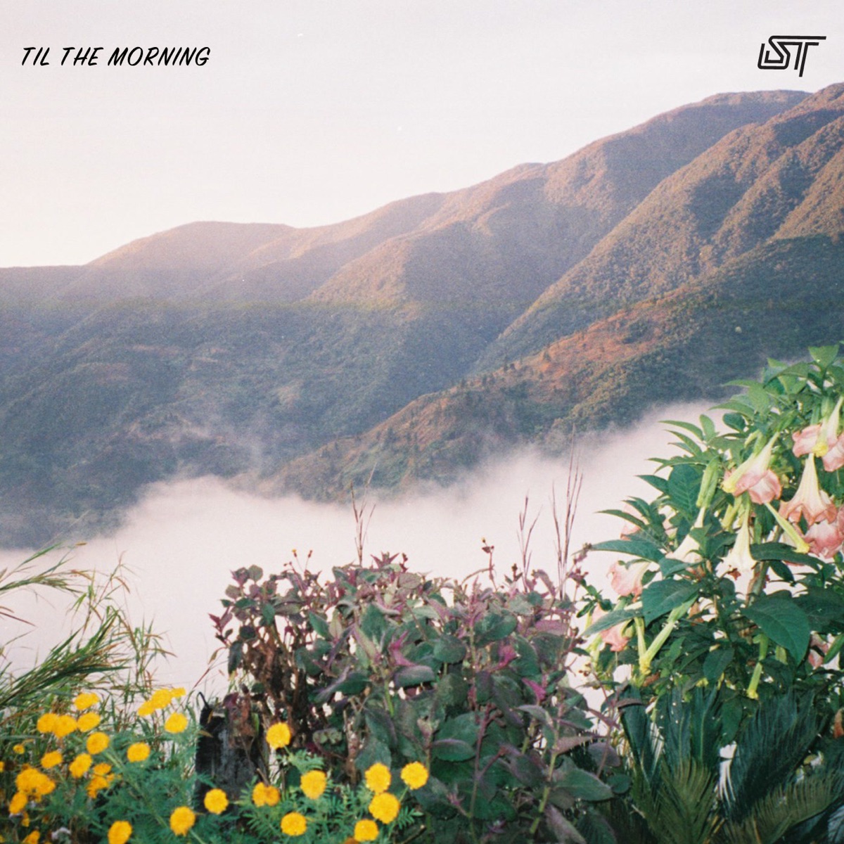 Til the Morning - Single by Swing Ting, Devin Di Dakta & Gemma Dunleavy album cover
