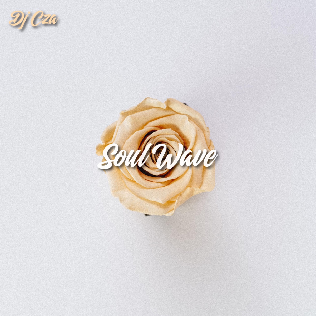 Soul Wave - Single by DJ CZA album cover