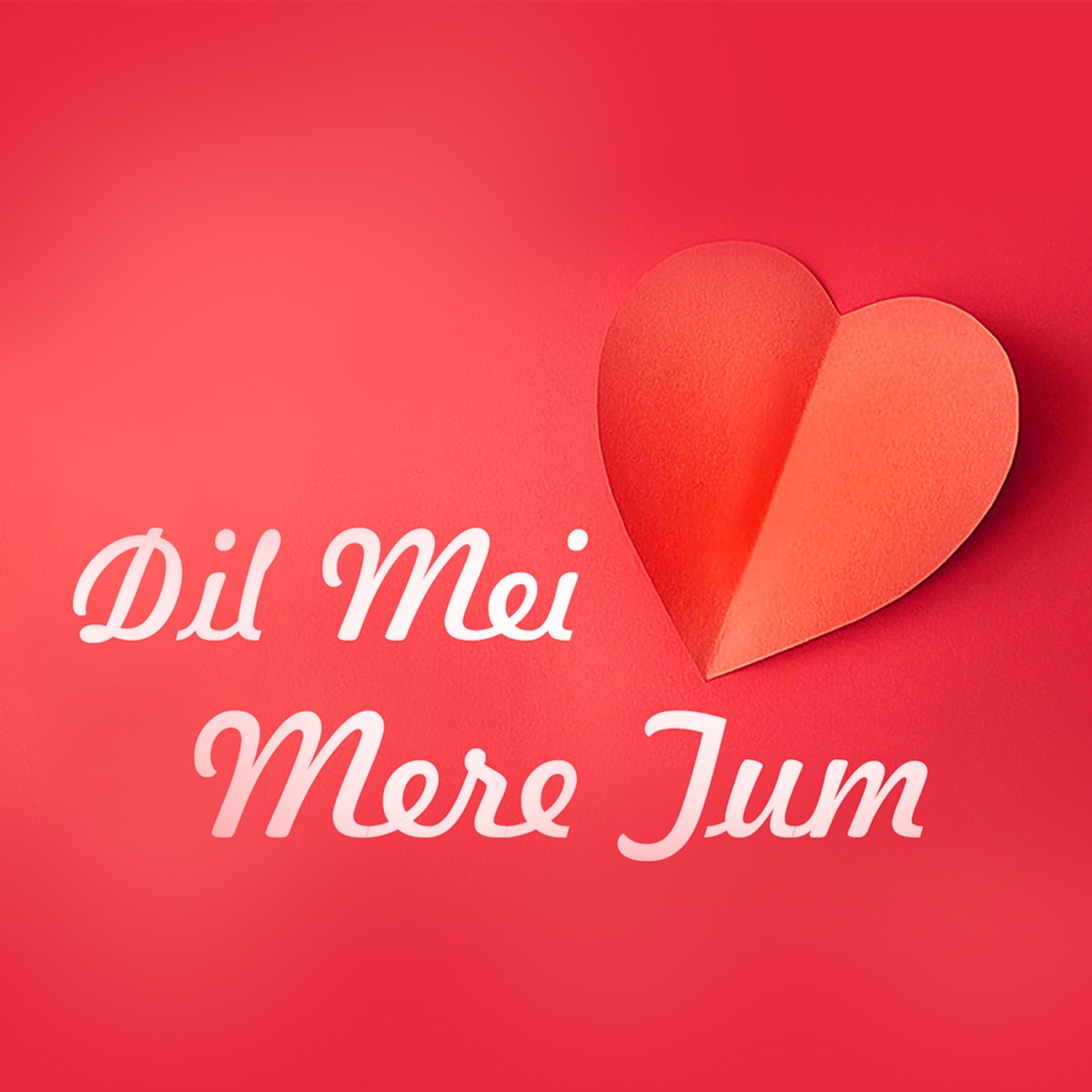 Dil Mei Mere Tum (feat. Vibhavari Apte Joshi) - Single by Parallel Notes Music album cover