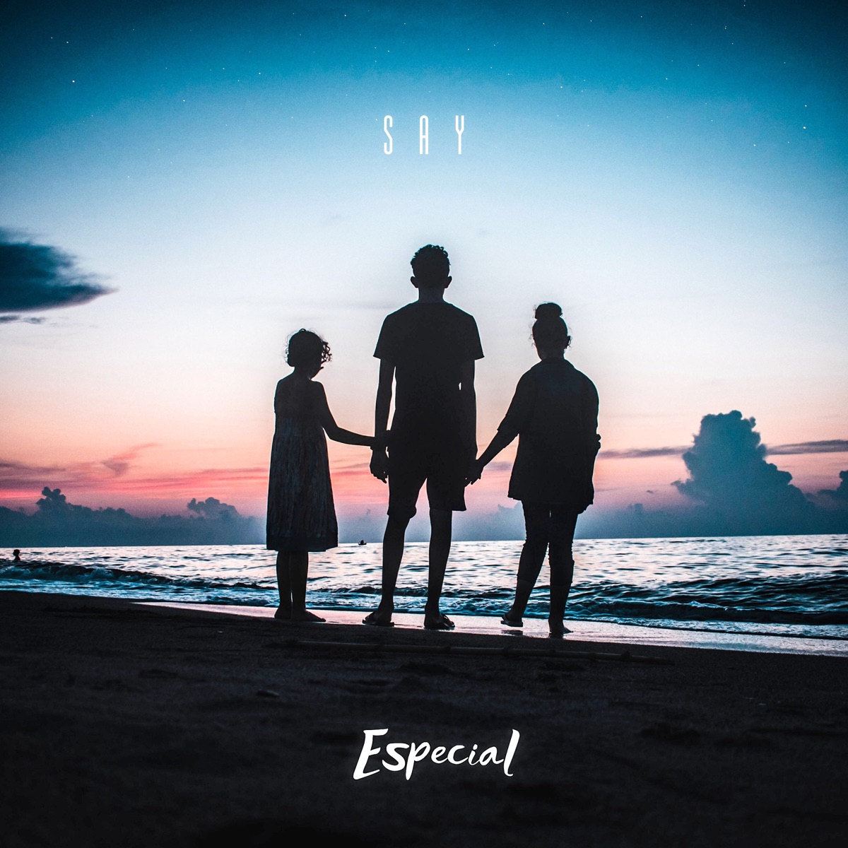 Especial - Single by Say album cover
