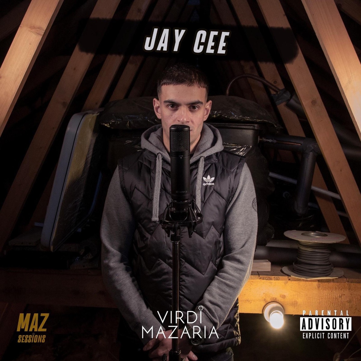 Maz Sessions (feat. Jay Cee) - Single by Sat Mazaria & Virdi Mazaria album cover