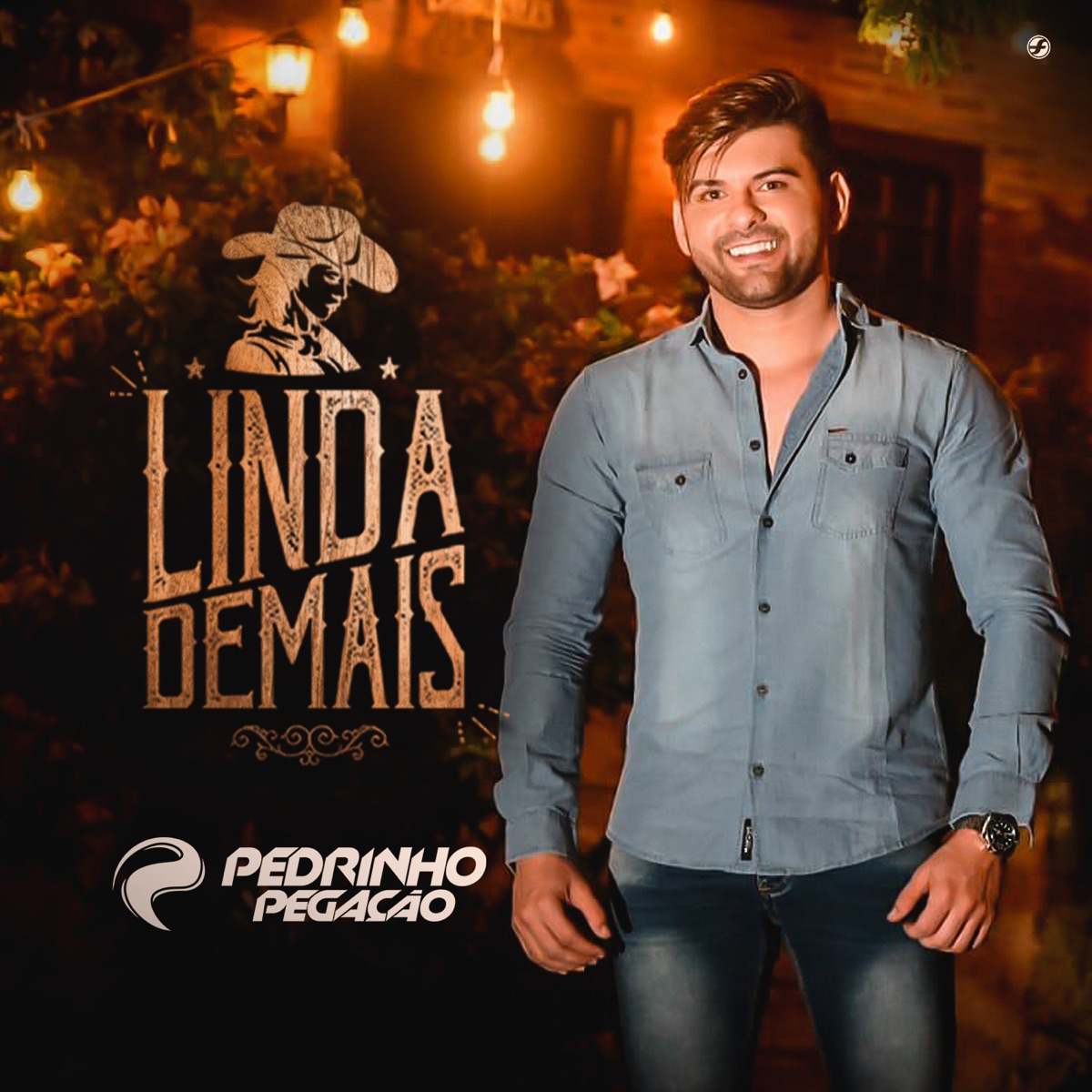 Linda Demais - Single by Pedrinho Pegação album cover