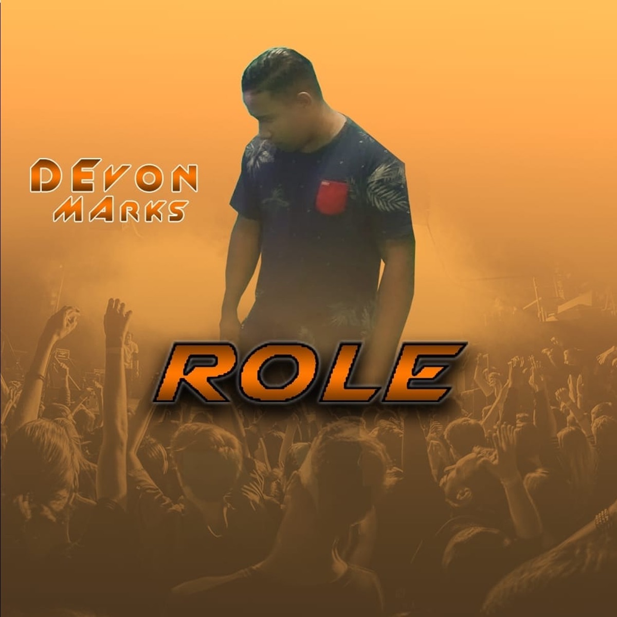 Role - Single by Devon Marks album cover