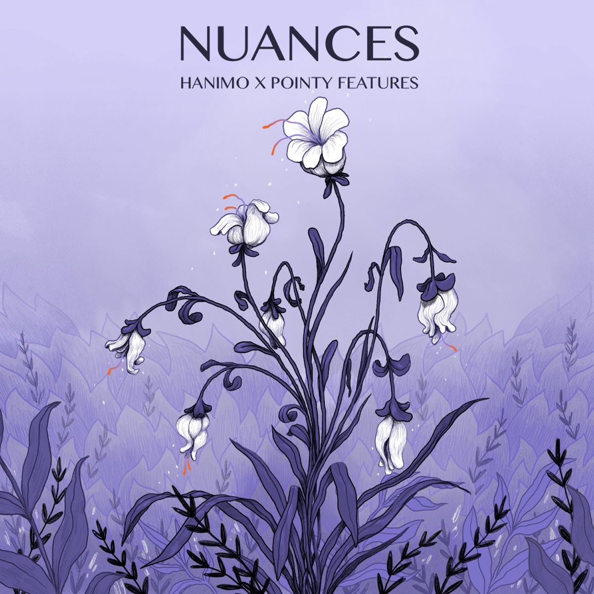 Nuances by Hanimo & Pointy Features album cover