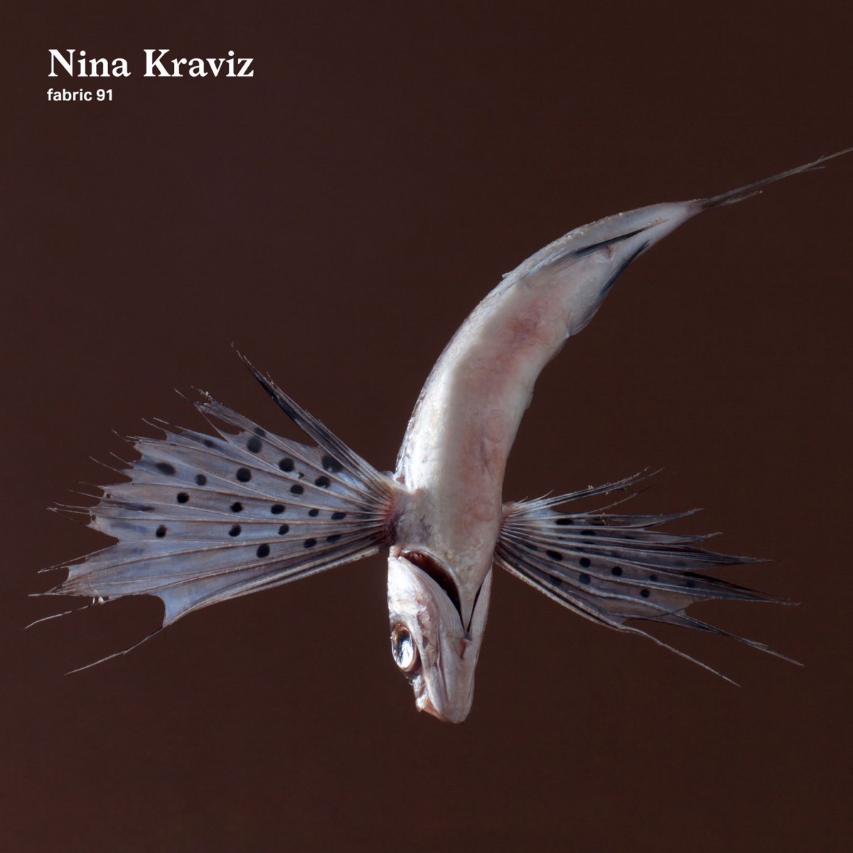 fabric 91: Nina Kraviz by Nina Kraviz album cover