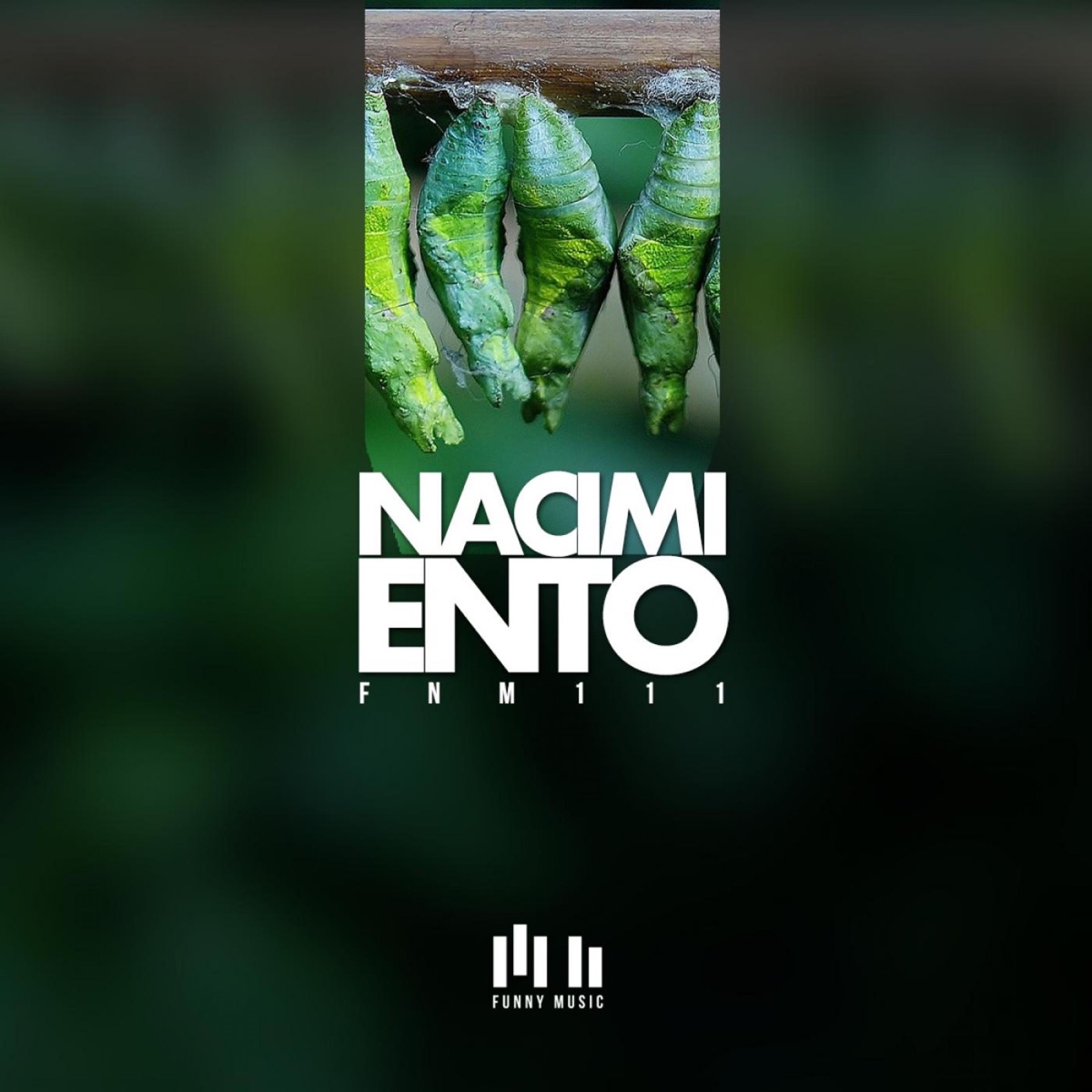 Nacimiento - Single by Creaminals, Danny Groove & Dr Pius album cover