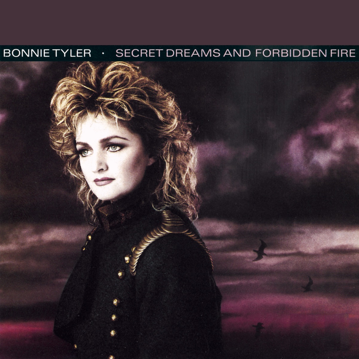 Secret Dreams and Forbidden Fire by Bonnie Tyler album cover