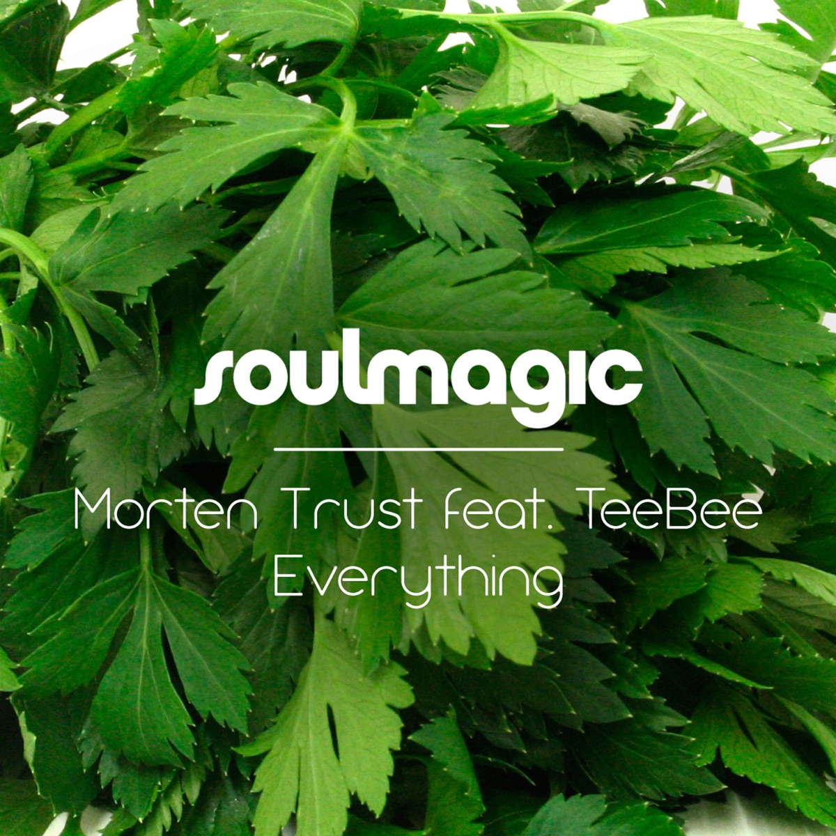 Everything (feat. Teebee) - Single by Morten Trust album cover