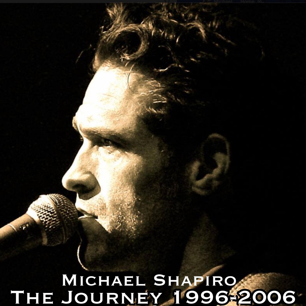 The Journey (1996-2006 Collection) by Michael Shapiro album cover